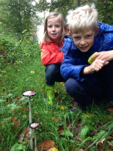 Herfstwandeling2014JarneKaat
